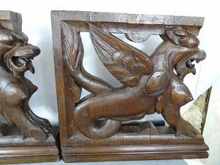 Antique French Pedestals Statues Carved Wood Solid Oak Griffins/ 19 th 6