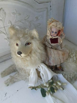 Lovely Antique white French loulou pajama dog,  lou lou,  pyjamas dog,  boudoir 12