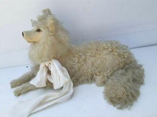 Lovely Antique white French loulou pajama dog,  lou lou,  pyjamas dog,  boudoir 6