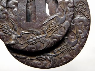 Signed DAISHO TSUBA Japanese Antiques w NBTHK KOSHU TOKUBETSU KICHO F369 9