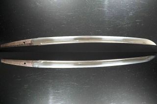 Signed & Dated 1665: Japanese Wakizashi Sword Shigekuni重國 Samurai Katana Nihonto 3