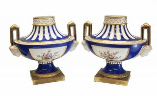 Pair French Sevres Style Hand Painted Porcelain Urns,  19th C.  Floral Motifs