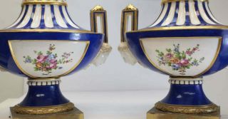 Pair French Sevres Style Hand Painted Porcelain Urns,  19th C.  Floral Motifs 2