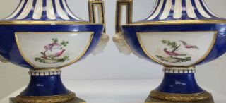 Pair French Sevres Style Hand Painted Porcelain Urns,  19th C.  Floral Motifs 3