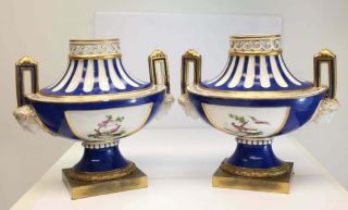 Pair French Sevres Style Hand Painted Porcelain Urns,  19th C.  Floral Motifs 4