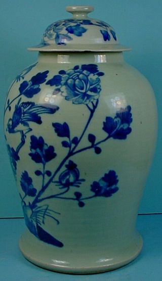 LATE 19th CENTURY CHINESE BLUE & WHITE PORCELAIN CELADON GLAZED TEMPLE JAR 3