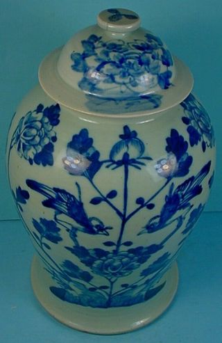 LATE 19th CENTURY CHINESE BLUE & WHITE PORCELAIN CELADON GLAZED TEMPLE JAR 5