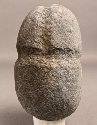 500 - 5000yrs Aleut Artifact Kodiak Ak Inuit Grooved Maul R Stone Fish Sinker 210