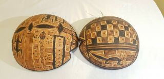 Awesome Vintage Tribal Exterior Interior Engraved Etched Tortoise Gourds