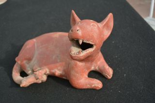 LARGE PRE - COLUMBIAN FIGURE COLIMA CULTURE WESTERN MEXICO DOG WITH BABY 2