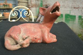 LARGE PRE - COLUMBIAN FIGURE COLIMA CULTURE WESTERN MEXICO DOG WITH BABY 3
