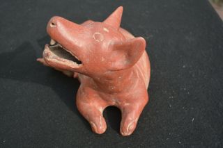 LARGE PRE - COLUMBIAN FIGURE COLIMA CULTURE WESTERN MEXICO DOG WITH BABY 4
