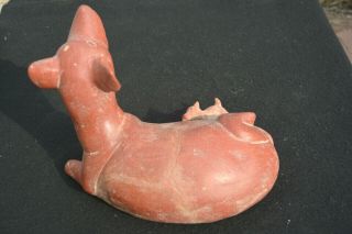 LARGE PRE - COLUMBIAN FIGURE COLIMA CULTURE WESTERN MEXICO DOG WITH BABY 6