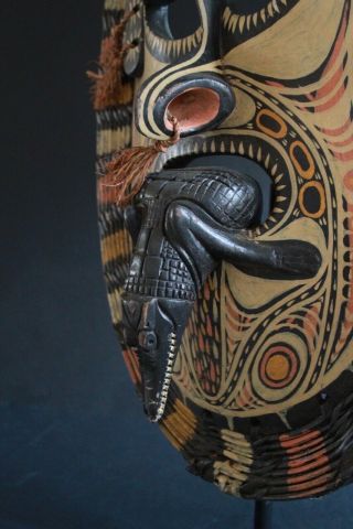 Spirit mask with crocodile - Iatmul - Middle Sepik - Papua Guinea 4