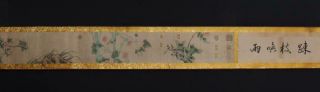 Fine Antique Chinese Hand - painting Scroll Lin Chun Marked - flower&bird 2