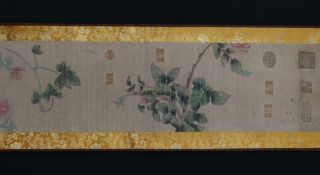 Fine Antique Chinese Hand - painting Scroll Lin Chun Marked - flower&bird 3