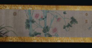 Fine Antique Chinese Hand - painting Scroll Lin Chun Marked - flower&bird 5