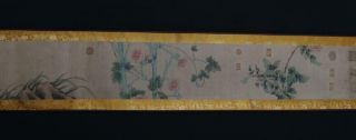 Fine Antique Chinese Hand - painting Scroll Lin Chun Marked - flower&bird 7