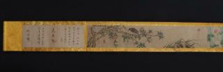 Fine Antique Chinese Hand - painting Scroll Lin Chun Marked - flower&bird 8