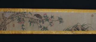 Fine Antique Chinese Hand - painting Scroll Lin Chun Marked - flower&bird 9