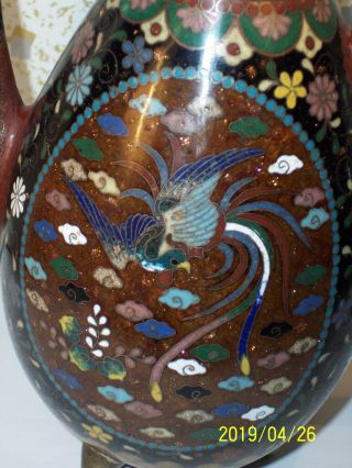 ANTIQUE JAPANESE MEIJI CLOISONNE ENAMEL TEAPOT PHOENIX BUTTERFLY EX COND 6.  5 