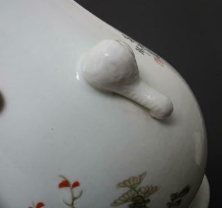 Perfect Antique Chinese Porcelain Famille - Rose Vase Xu Dasheng Mark - bird&mum 10