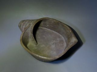 Pre Columbian sacrificial ritual shell bowl ceramic condor wTLtestReport Chavin 10