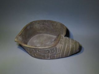 Pre Columbian Sacrificial Ritual Shell Bowl Ceramic Condor Wtltestreport Chavin