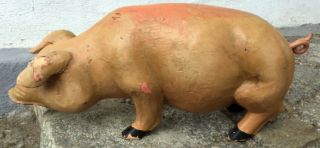 XXX RARE antique large wood /wooden carved Pig Store window display Figure 4