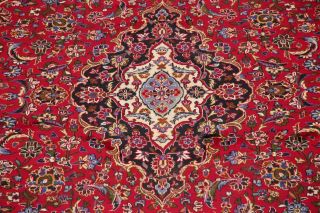 Vintage Traditional Floral Oriental Area Rug Hand - Knotted Wool 8x12 5