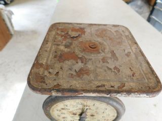 Rustic Kitchen Vintage Columbia Family Scale 24 Pounds Landers,  Frary and Clark 3