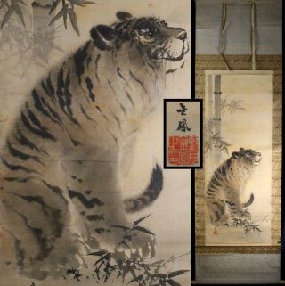 Aso53 Large Size Japanese Hanging Scroll (on Silk) " Tiger " Mochizuki Kinpo Meij