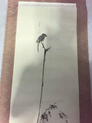Japanese Painting Hanging Scroll Japan Shrike Bird Antique Vintage Picture D396