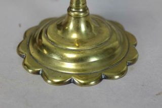 AN EARLY 18TH C ENGLISH QA BRASS CANDLESTICK BALUSTER FORM GREAT PETAL BASE 3