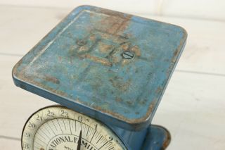 Antique 1900 ' s National Family Kitchen Scale 24 Lb Hardware Store Blue Rustic 2