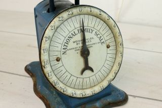 Antique 1900 ' s National Family Kitchen Scale 24 Lb Hardware Store Blue Rustic 7