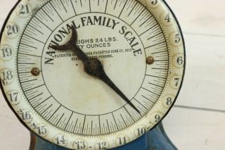 Antique 1900 ' s National Family Kitchen Scale 24 Lb Hardware Store Blue Rustic 8
