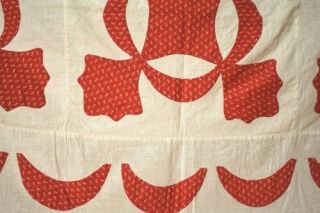 1890 ' s Vintage Red & White Oak Reel Applique Antique Quilt Top SWAG BORDER 5