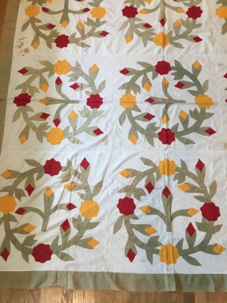 antique incredible appliqué quilt top very old red,  yellow and olive greens 3