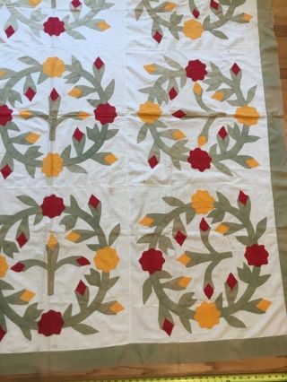 antique incredible appliqué quilt top very old red,  yellow and olive greens 4