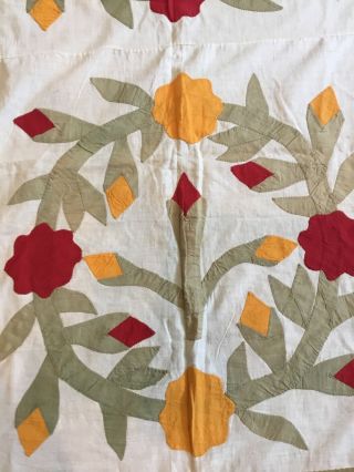 antique incredible appliqué quilt top very old red,  yellow and olive greens 8