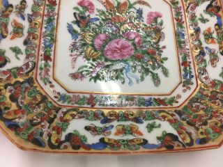 5 Famille Rose Plates Chinese with Butterflies 4
