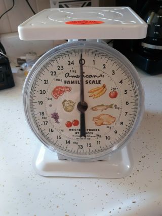 Vintage American Family Kitchen Scale Metal 25 Pound