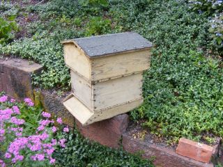 Antique Bee Hive,  Beekeeping,  Honeybees