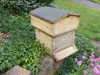 Antique Bee Hive,  Beekeeping,  Honeybees 2