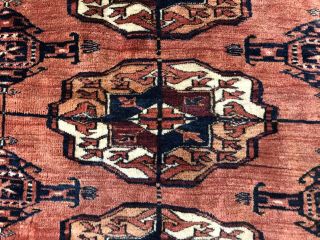 Auth: Antique Turkmen Bukhara Rug - Rare Tekke Tribal Beauty 10x12