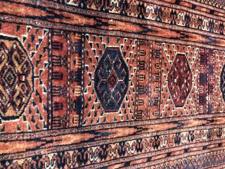 Auth: Antique Turkmen Bukhara Rug - Rare Tekke Tribal Beauty 10x12 4