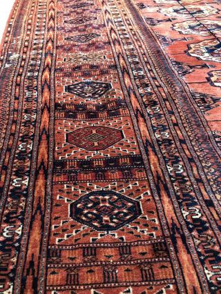 Auth: Antique Turkmen Bukhara Rug - Rare Tekke Tribal Beauty 10x12 6