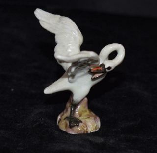 Meissen Porcelain Bird Figurine - Swan Pruning - Model 1824 - 2 5/8 " H - Exc