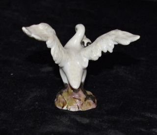Meissen Porcelain Bird Figurine - SWAN PRUNING - Model 1824 - 2 5/8 